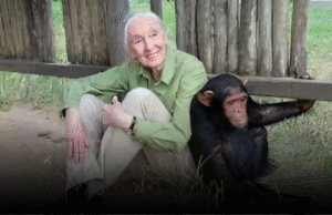 jane-goodall